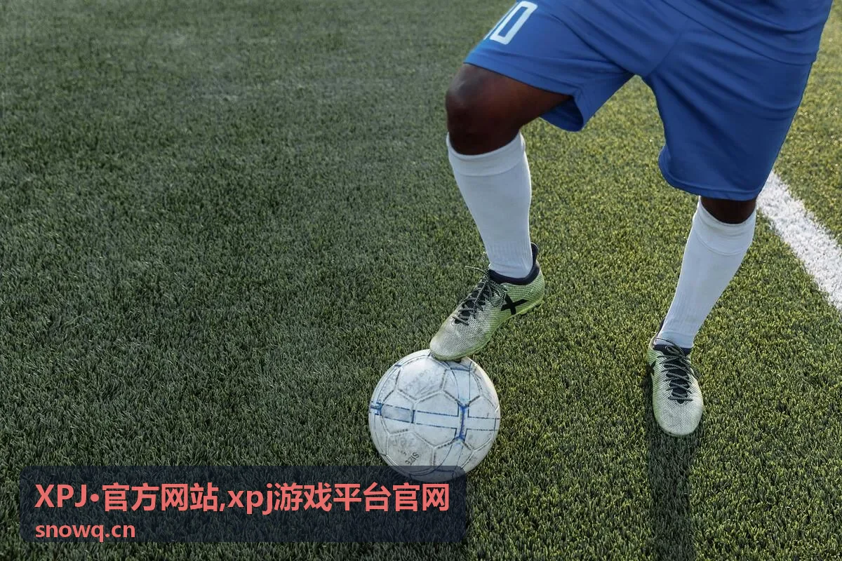 xpj游戏平台官网访问说明封面